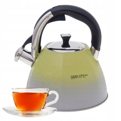 Konvice Tradiční Ocelová Píšťalka Velký Objemný Plyn Indukce 2,5 L