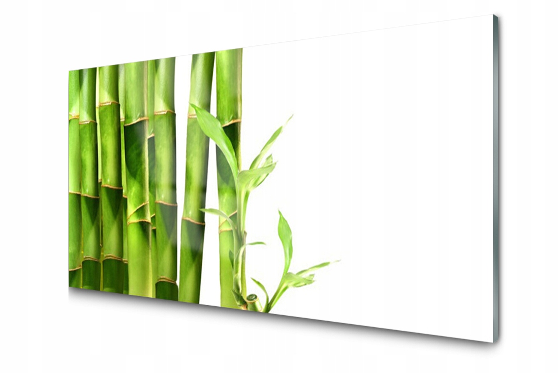 

Panel szklany dekor Bambus Roślina 120x60 + Klej