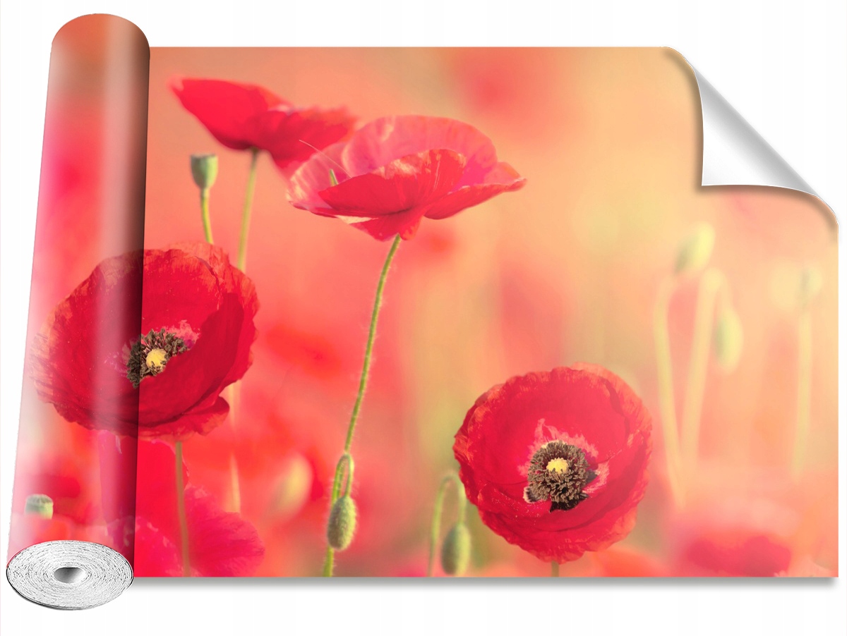 

Tapeta Samoprzylepna Czerwone maki 104x70