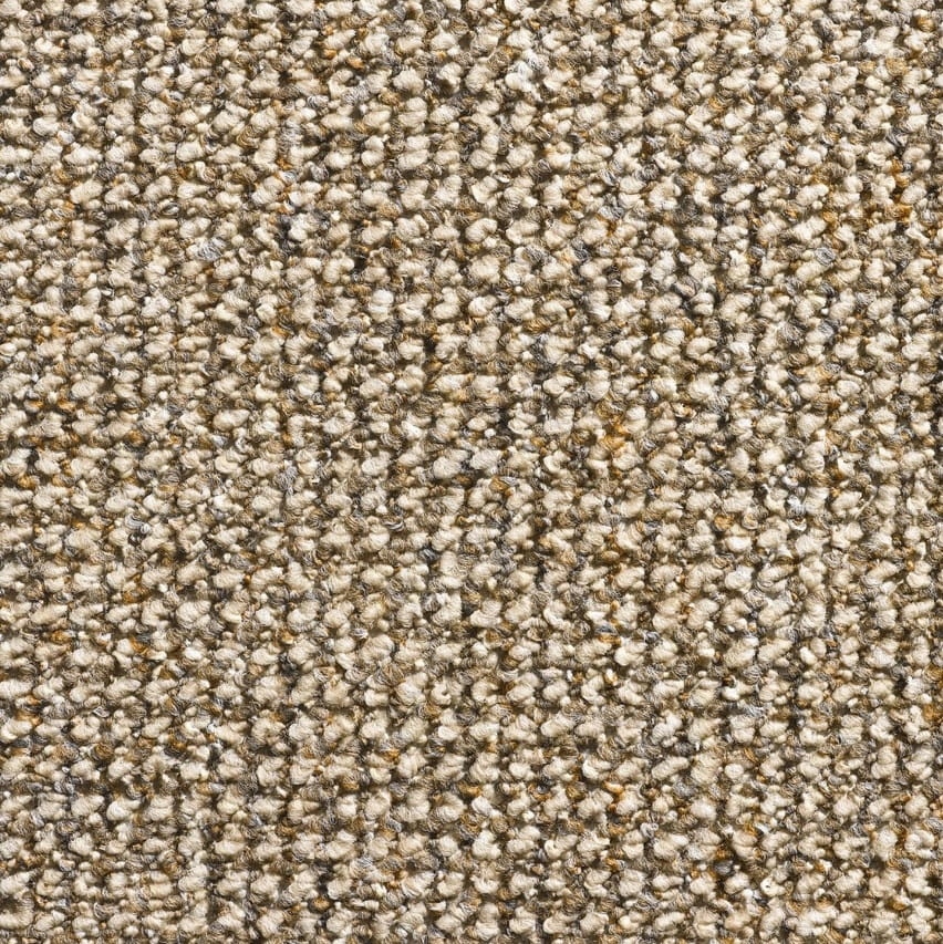 Dywan Timzo Herkules 1418 - Rozmiar: 300x400cm Marka inna