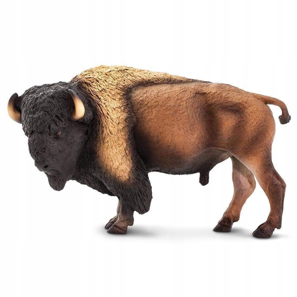 

Bizon - Bison - Safari Ltd. - 100138 - Delux