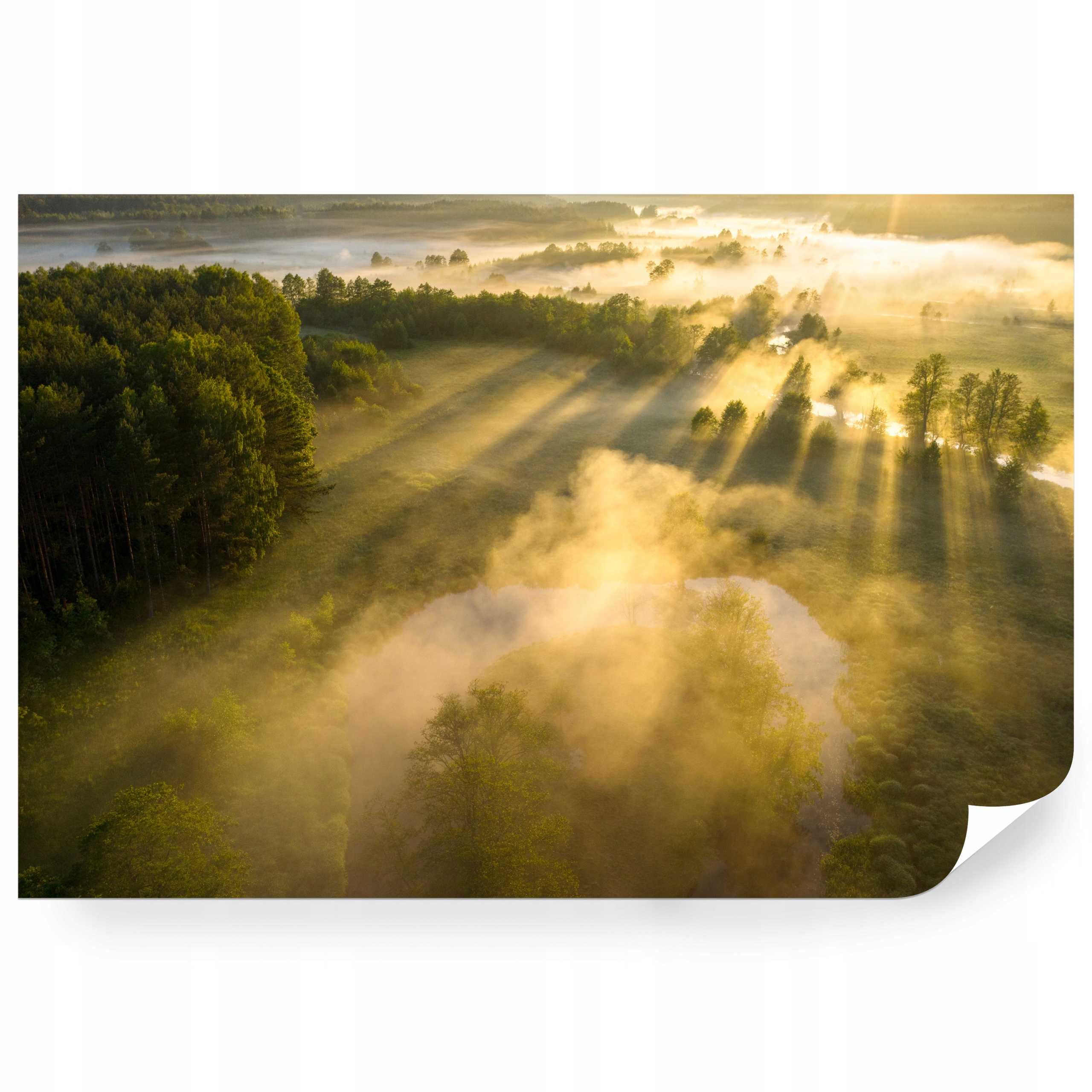 Fototapeta samolepicí Les Na Slunci Z Ptačí Perspektivy 180 x 120 cm