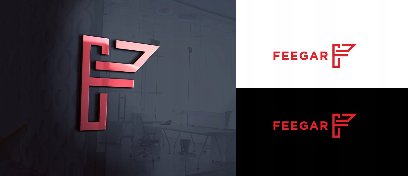 QH300 PRO FEEGAR uchwyt sam.z ładowarką indukcyjną Marka Feegar