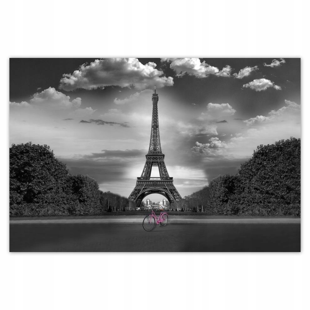 

Plakaty 60x40 Rower przed Wieżą Eiffla