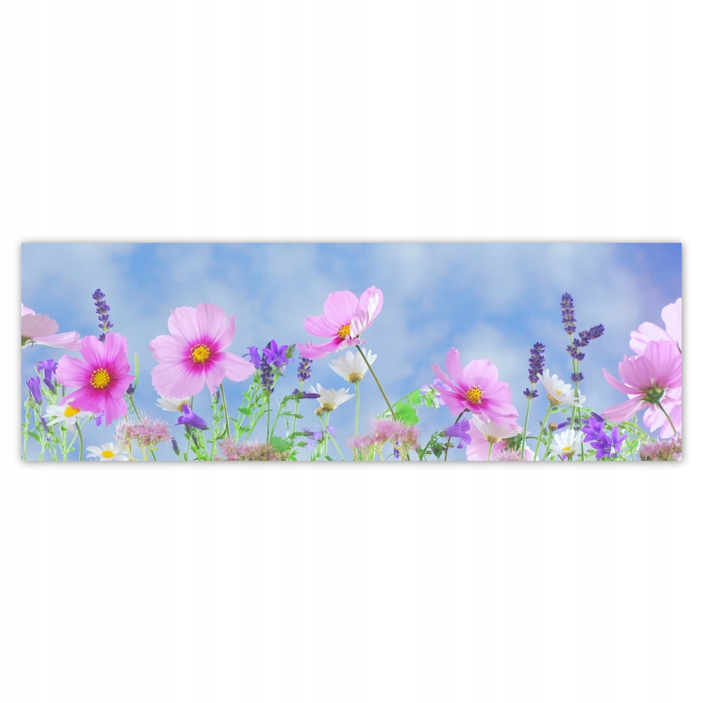 

Plakaty 200x66 Delikatne kwiatki