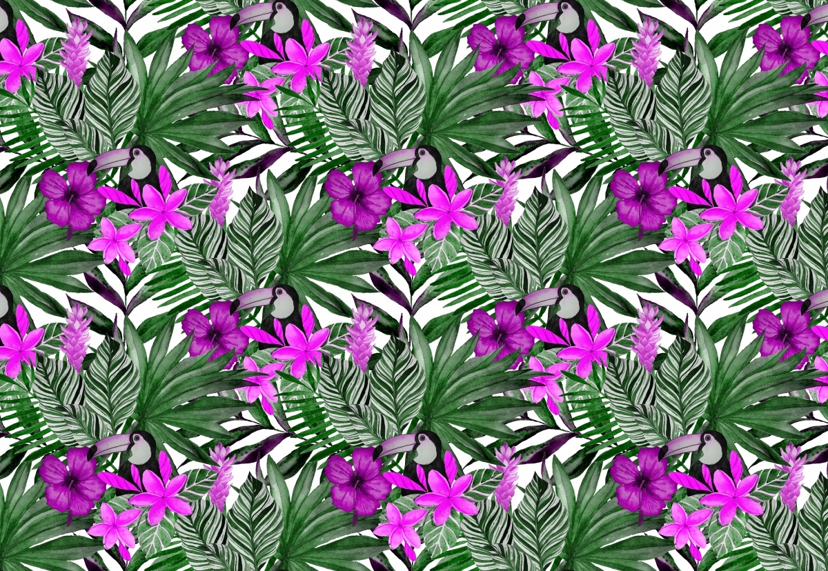 

Fototapeta Flizelinowa Palma Tukan 152x104