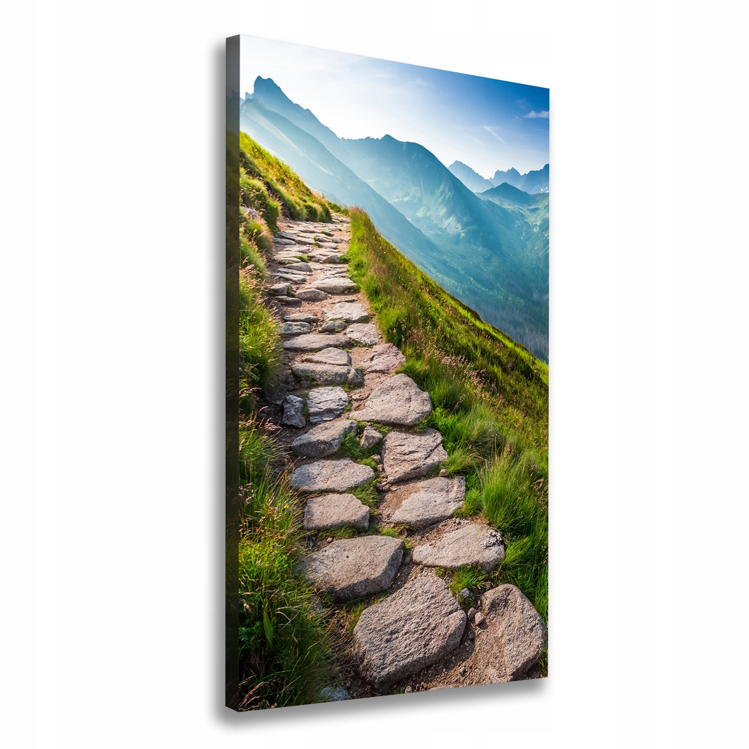 

Foto obraz canvas do salonu Górski szlak 70x140