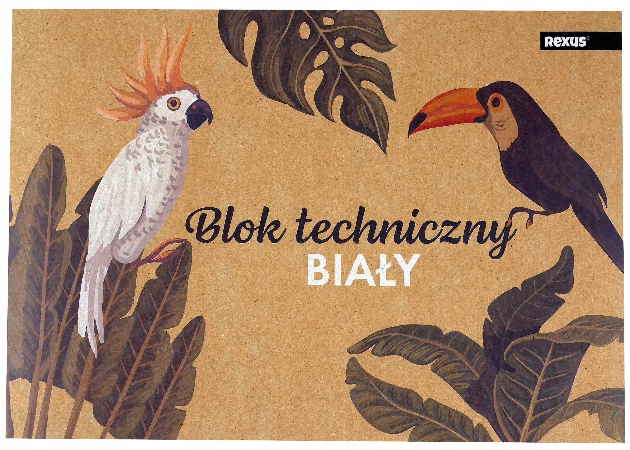 BLOK TECHNICZNY BIAŁY 10 KARTEK FORMAT A4 BENIAMIN Marka Beniamin