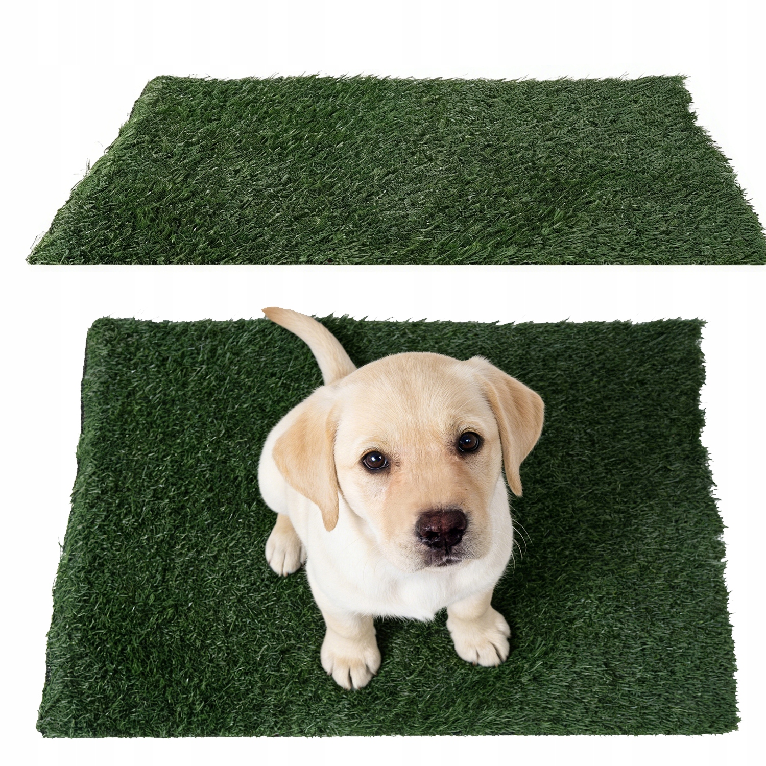 Levně Tréninková Podložka Na Trávník Pro Psa Pro Interiéry A Balkony