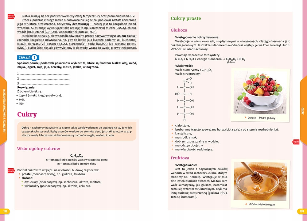 NOWE REPETYTORIUM SZKOŁA PODSTAWOWA CHEMIA 2024-2026 GREG Przedmiot Chemia