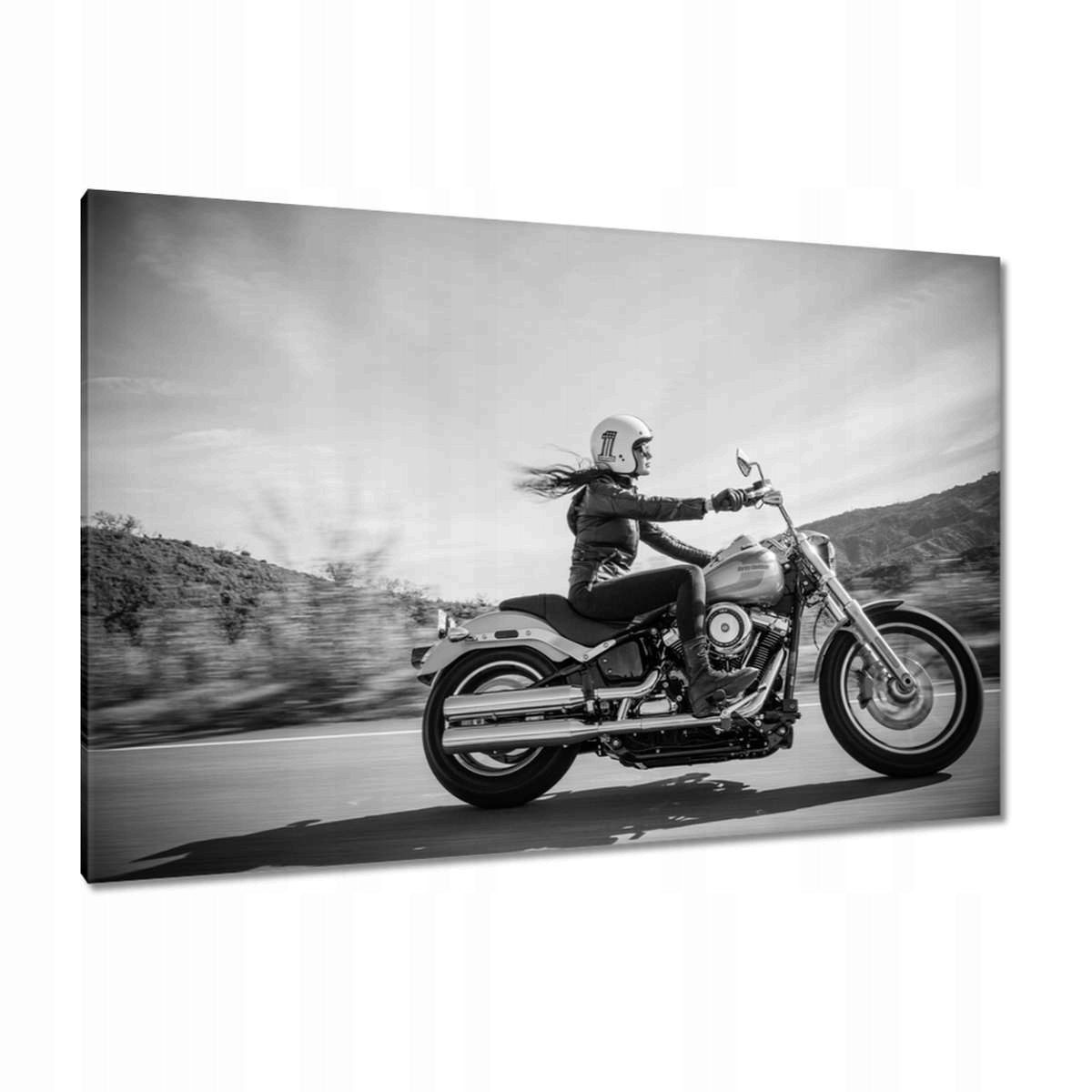 Obrazy 120x80 Harley Davidson Motocykl