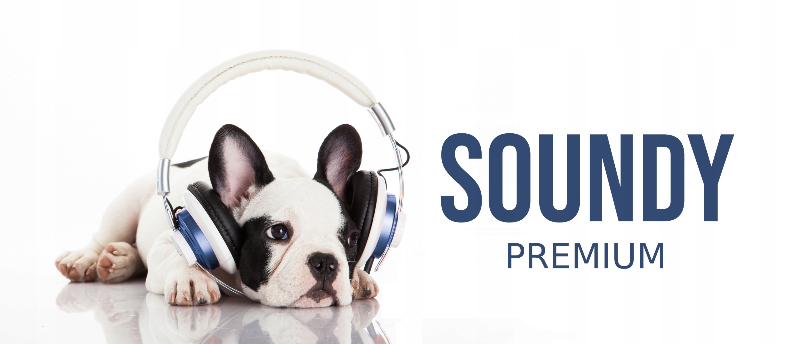 GRUBE JAKOŚĆ GĄBKI DO CREATIVE Sound Blaster JAM Przeznaczenie Creative Sound Blaster JAM Creative Sound Blaster JAM V2