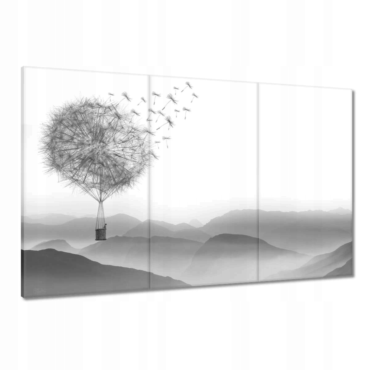 Obrazy 120x80 Pampeliška