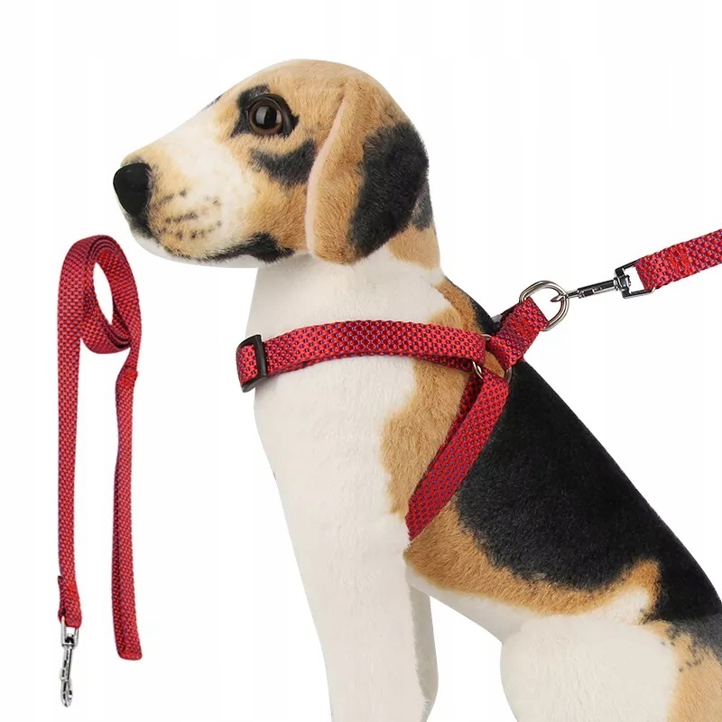 

Komplet szelki i smycz dla psa rozmiar L