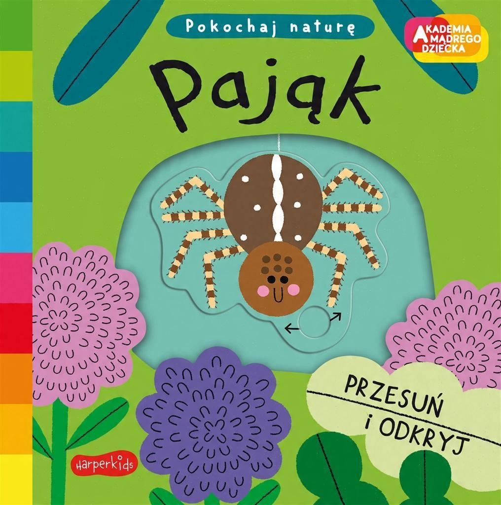 

Pokochaj naturę Pająk Campbell Books