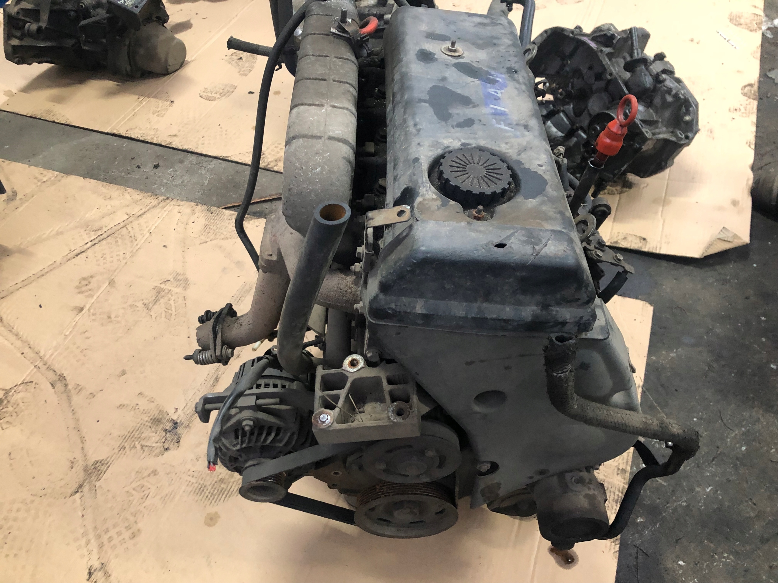 SILNIK FIAT DUCATO I 2.5 D KOMPLETNY JUMPER BOXER 1996 Typ samochodu Samochody osobowe