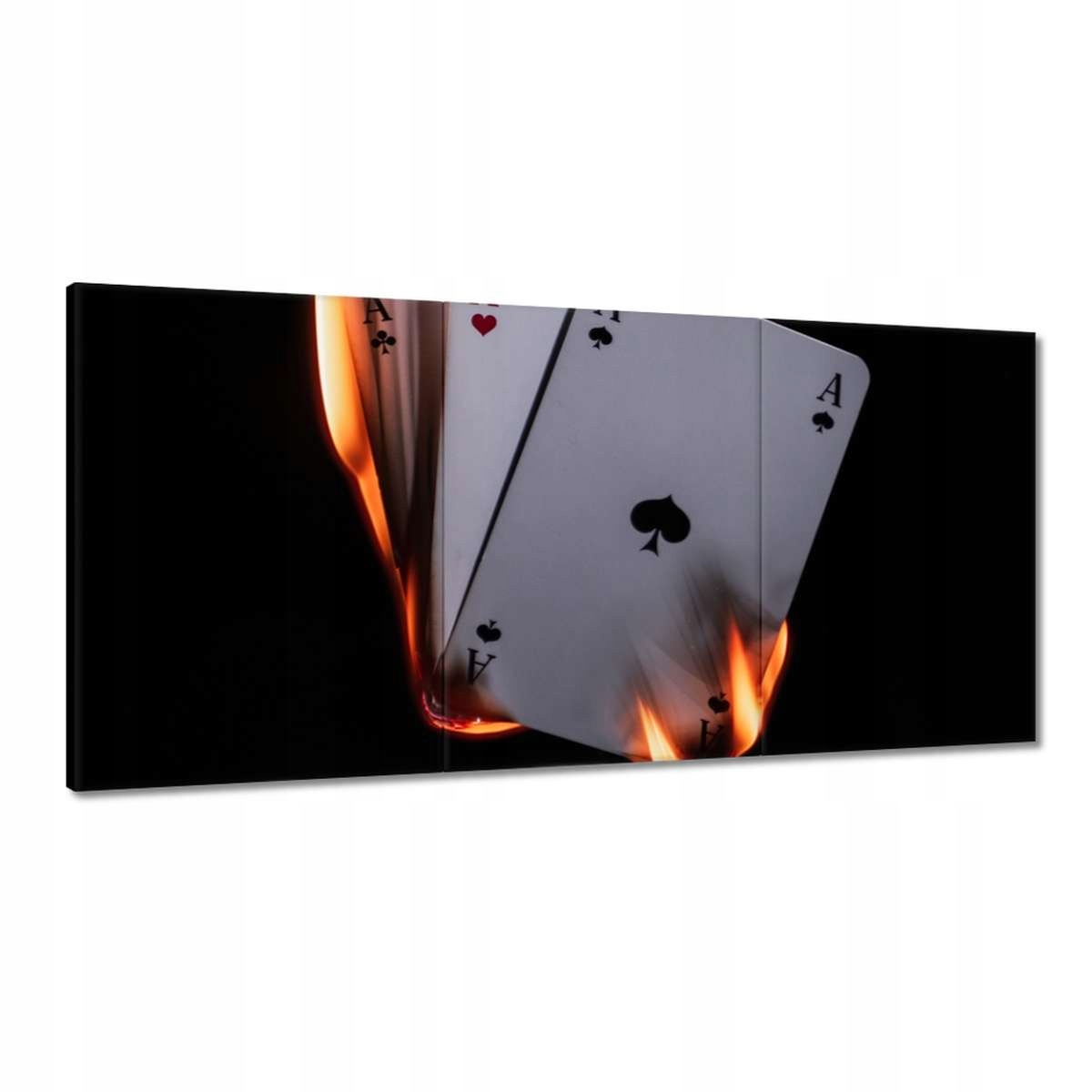 Obrazy 180x90 HardCore Design Photo Hc