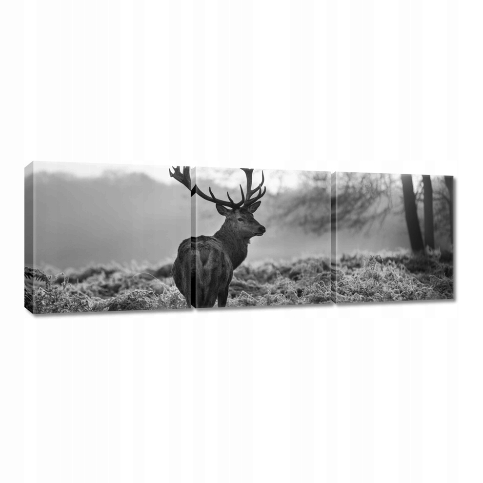 

Obrazy 120x40 Czarno-biały jeleń