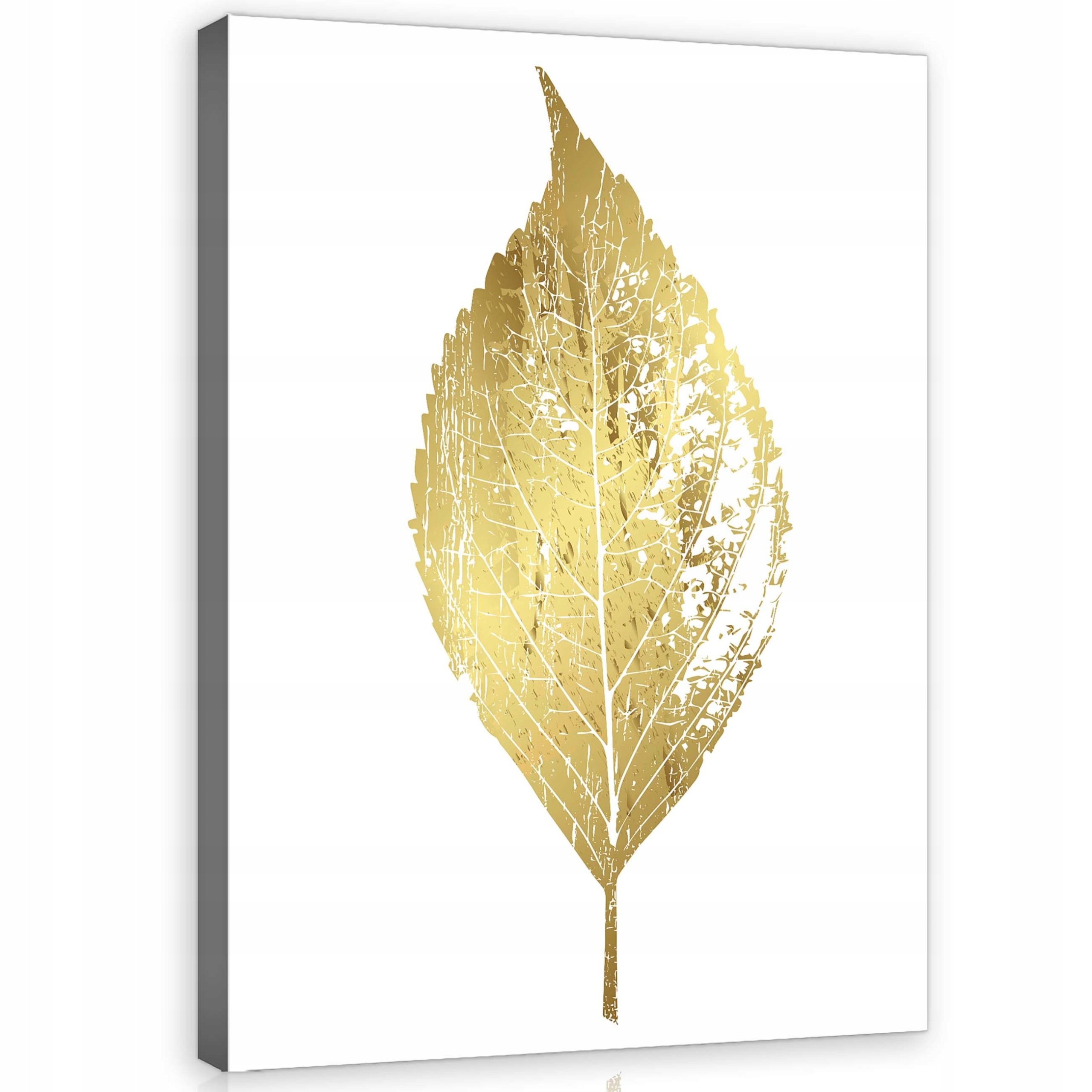 Obraz 75x100 Zlatý list minimalismus elegance moderní botanické umění
