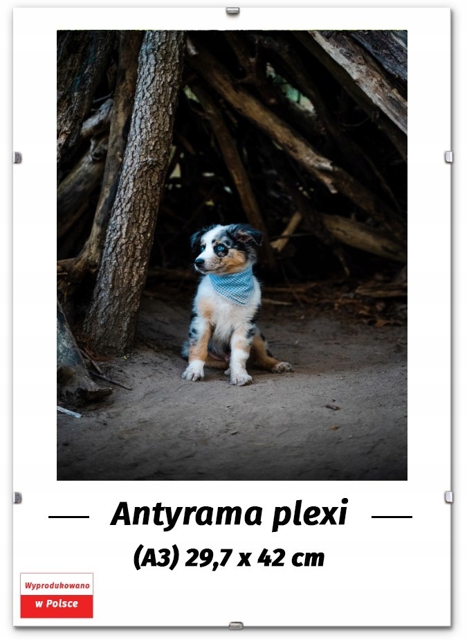 ANTYRAMA A3 29,7x42 cm, RAMKA A3 42x29,7 cm na plakat, puzzle, zdjęcie