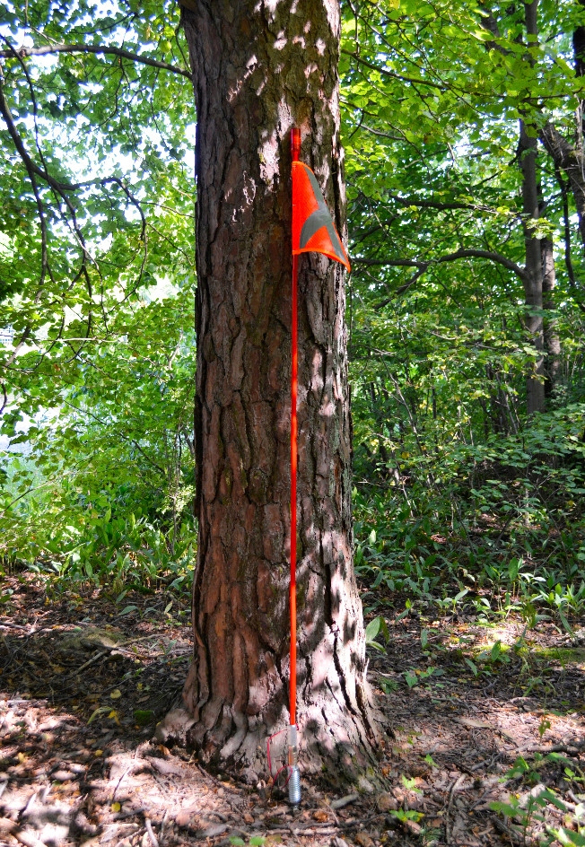 FLAGA + MASZT BEZPIECZEŃSTWA 1,8m OŚWIETLENIE LED Numer katalogowy producenta MINING001