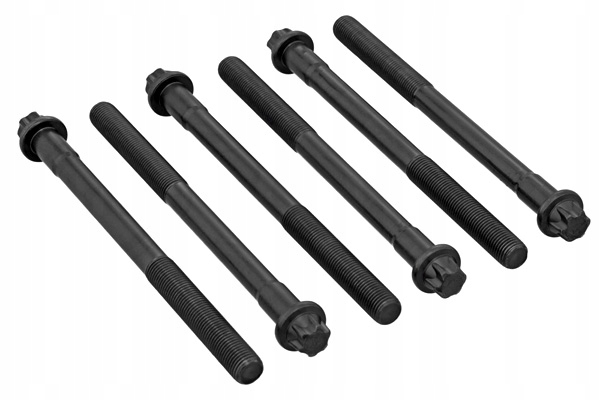 ELRING ZESTAW ŚRUB GŁOWICY CYLINDRÓW 6SZT. MAN TGA TGX I