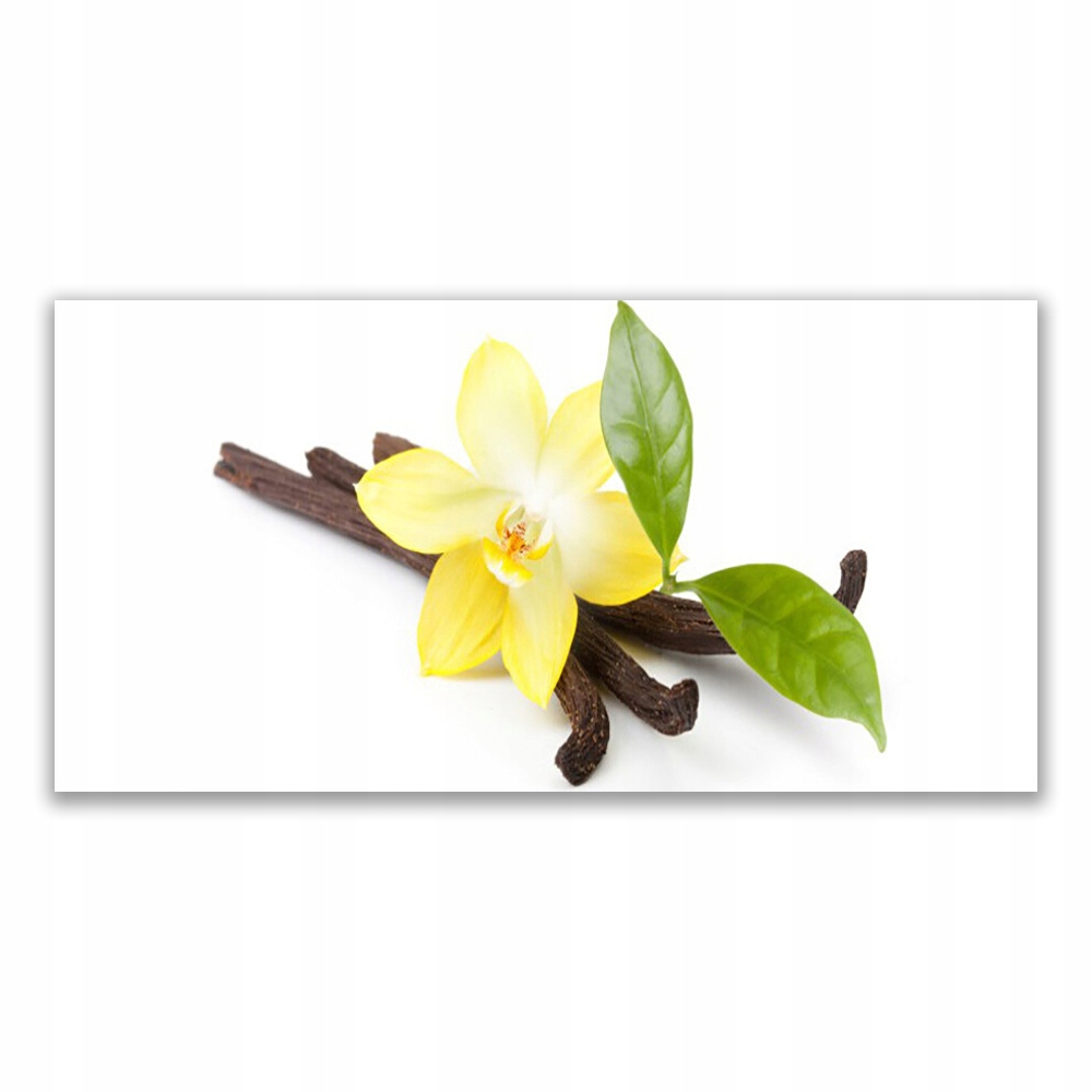 

Fotoobraz na prezent 120x60 Wanilia Liście Roślina