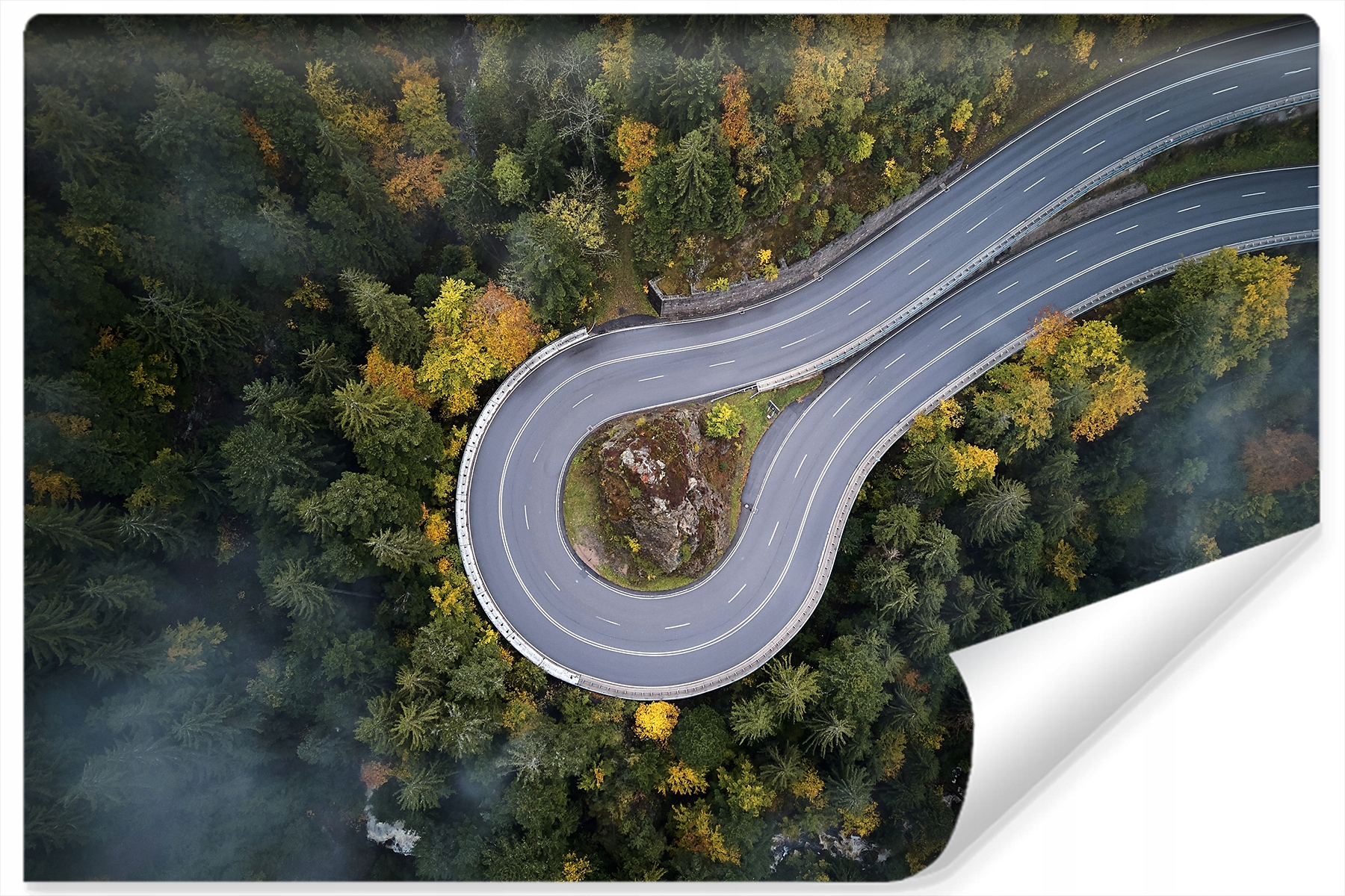 Fototapeta Les Ulice Pohled z hory Dekor 3D 360x240