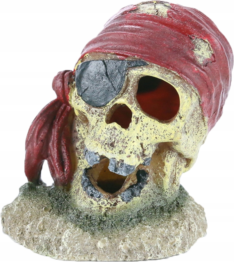 

Aqua Della Czaszka pirata Ozdoba do akwarium