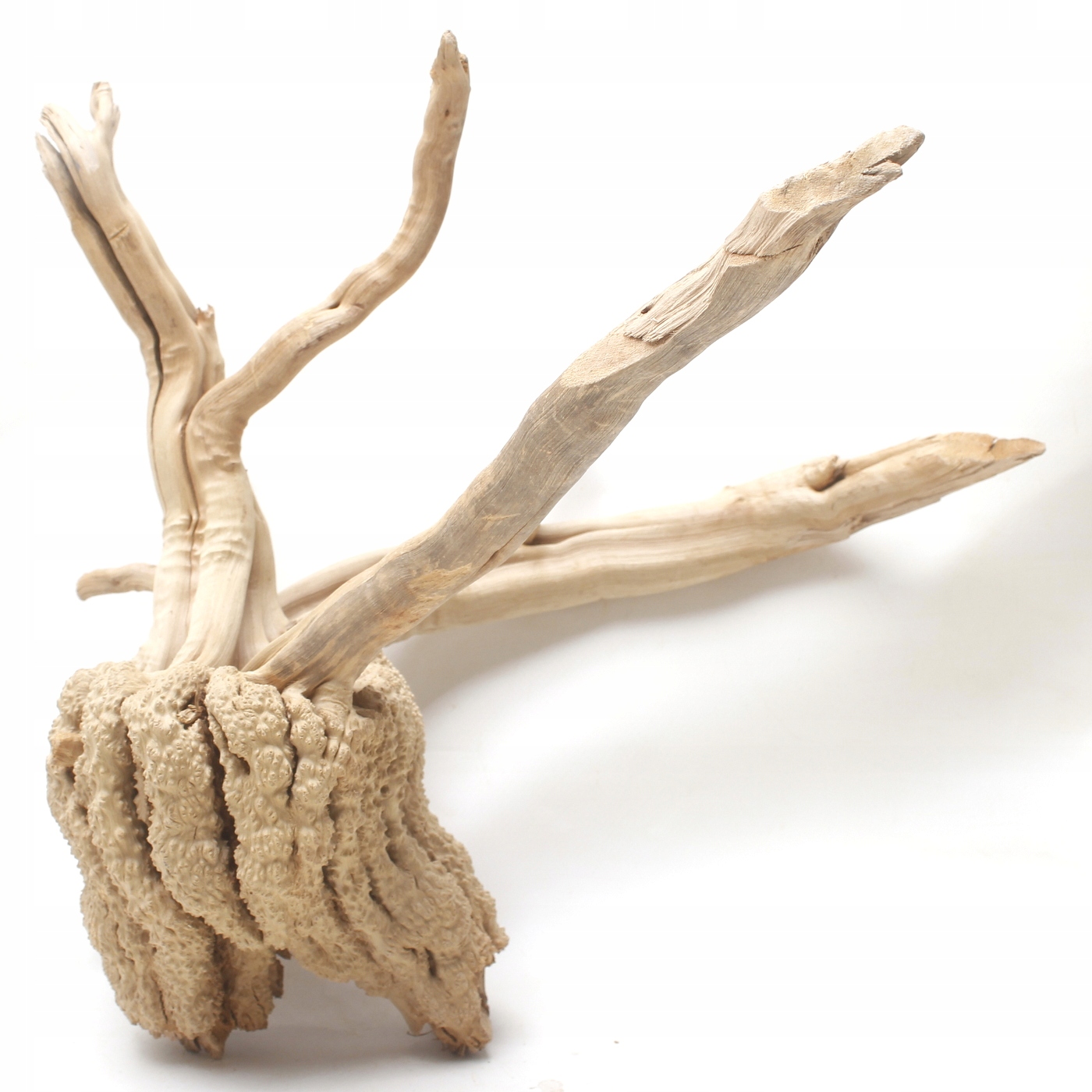 Levně Japonský kořen Red Moor 32x35x31 cm pro akvárium nebo terárium i231