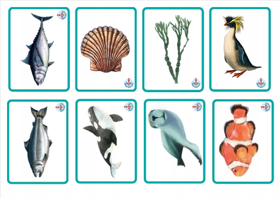 Karty obrazkowe, fiszki, Sea Animals, 9 x 6.5 cm Tytuł Karty obrazkowe, fiszki, Sea Animals, Zwierzęta podwodne 9 x 6.5 cm