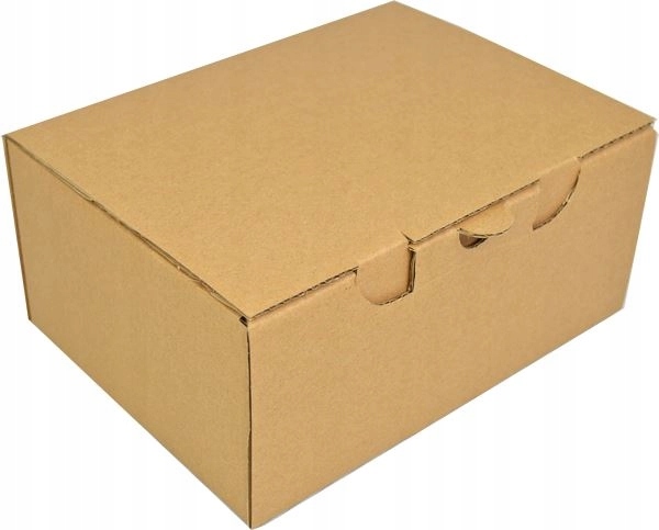 Karton fasonowy 220x170x100mm 3w brązowy 50