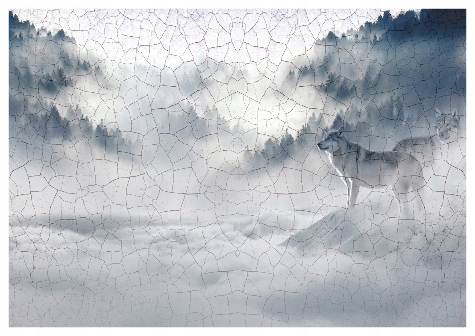 Fototapeta flizelina Vlk v mlze horský les 460x300 stylový interiér lepidlo