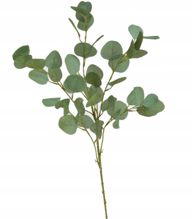 EUKALIPTUS GAŁĄZKA EUKALIPTUSA ZIELONA 90cm