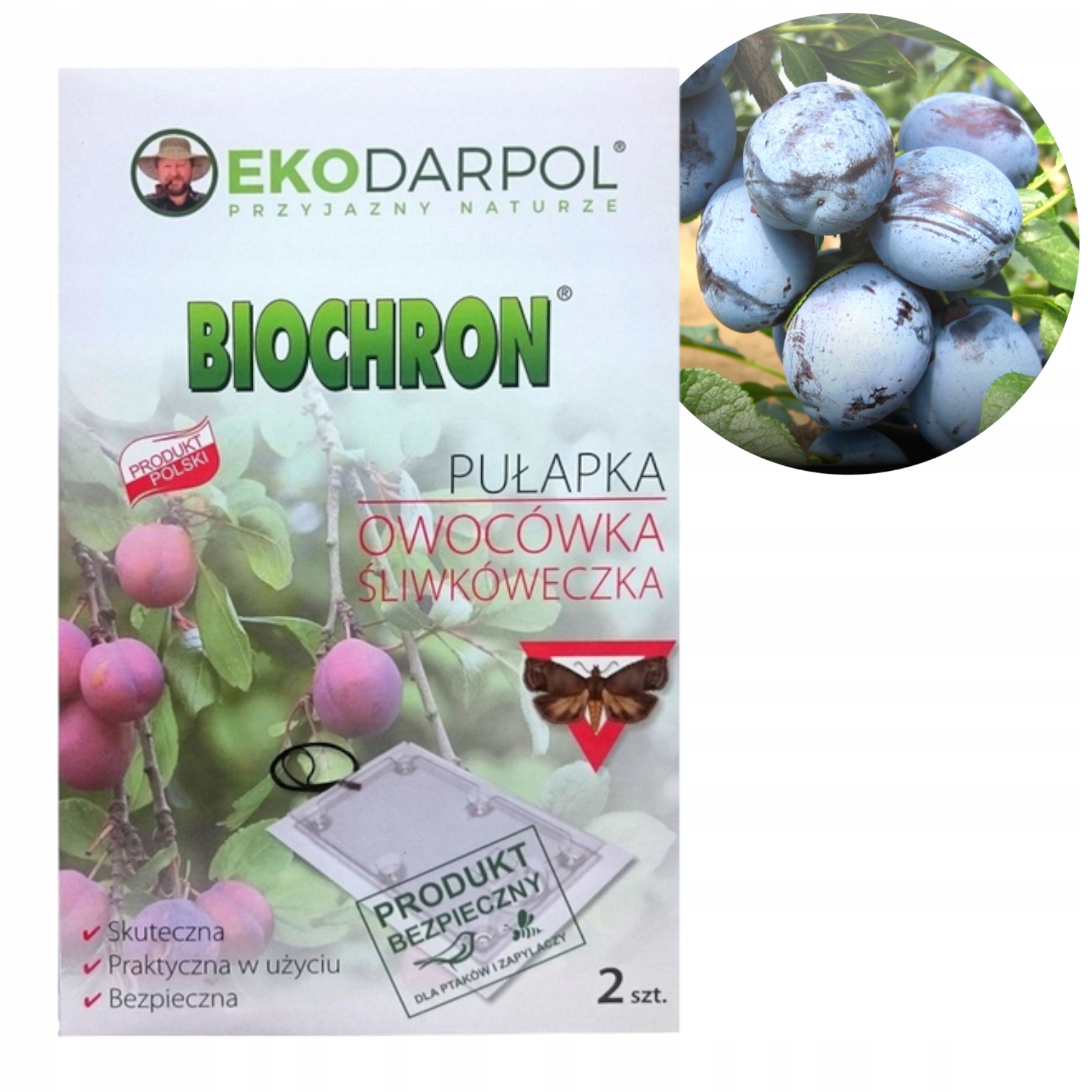 

Biochron Pułapka Owocówka Śliwkóweczka Lep 2szt