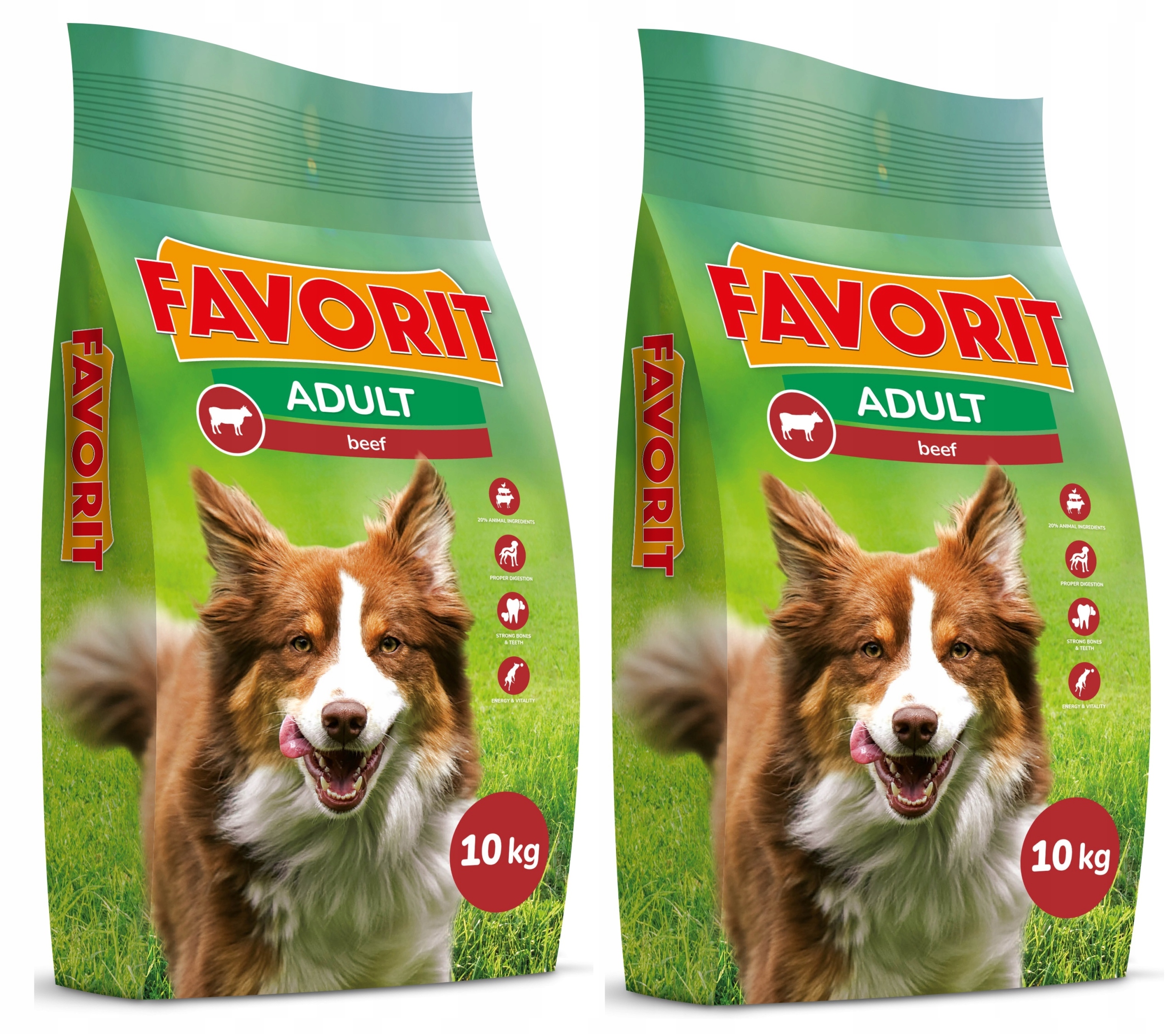 Levně Suché krmivo Favorit hovězí maso pro psa 10 kg x 2 ks