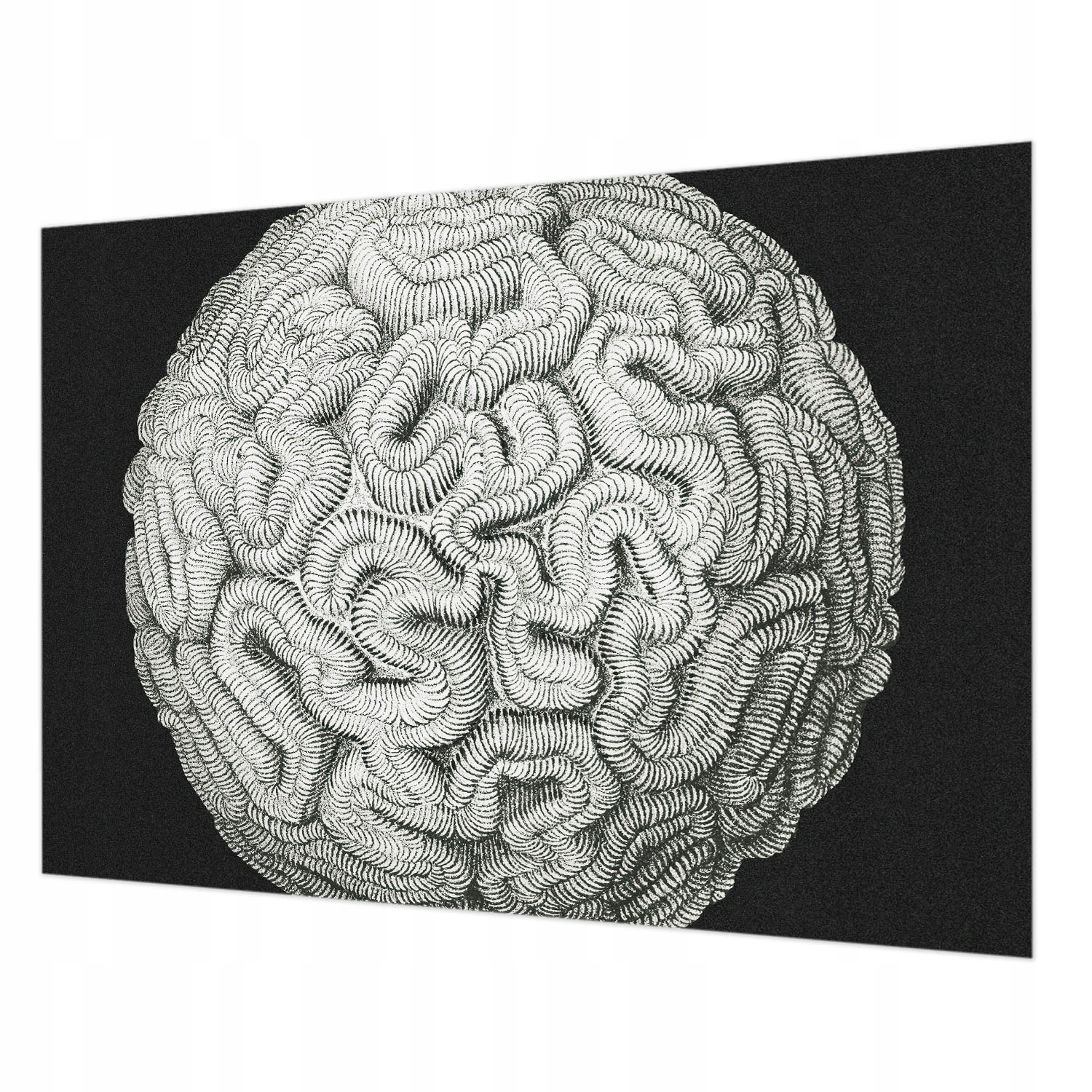 Fototapeta na zeď na flizelině do jídelny Kulovitá struktura 312 x 219 cm