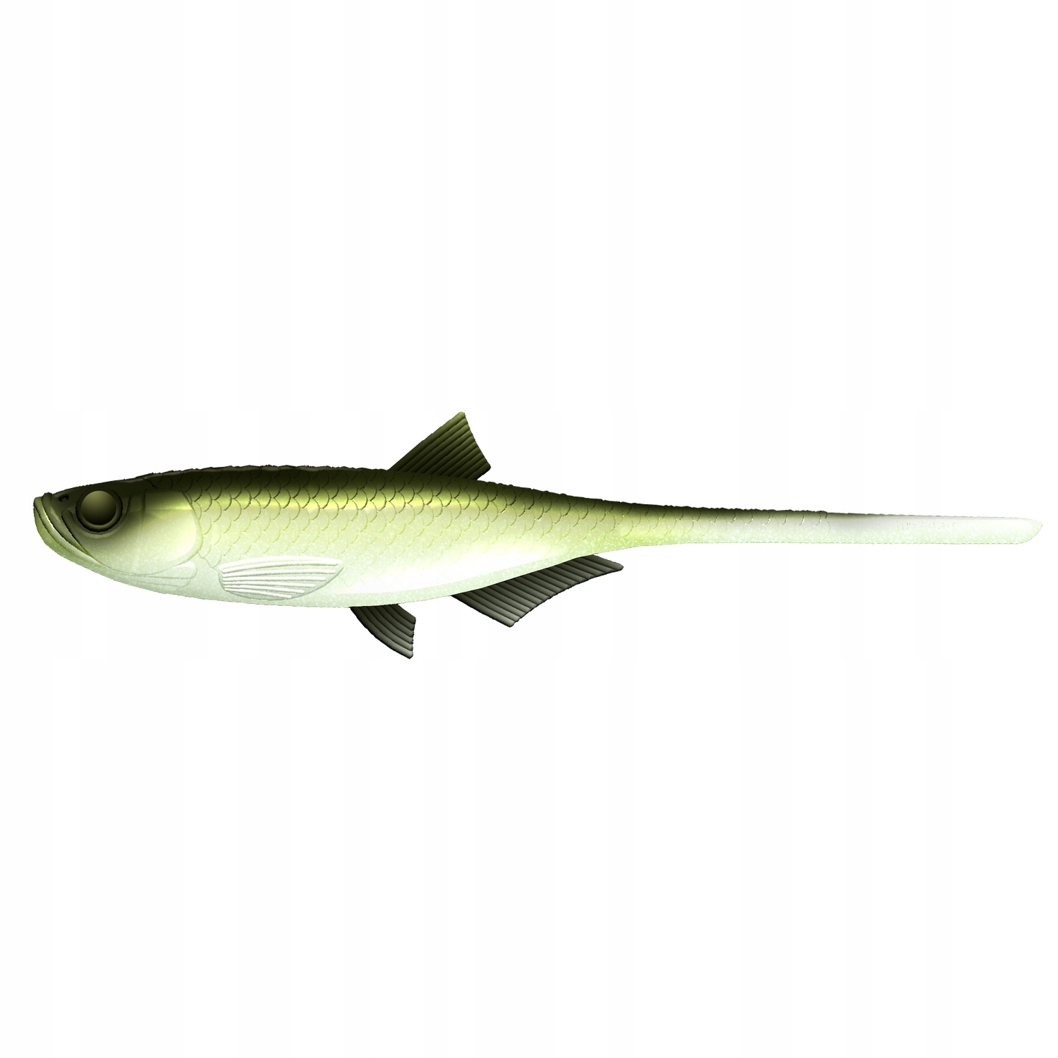Libra Lures Bleak Slug Tail 8,2'' 21cm 30g No Scent 031 Olive Whitefish