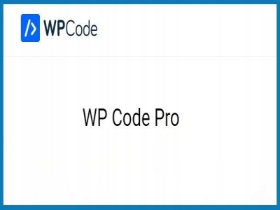 Wtyczka WPCode Pro + Conversion Pixels