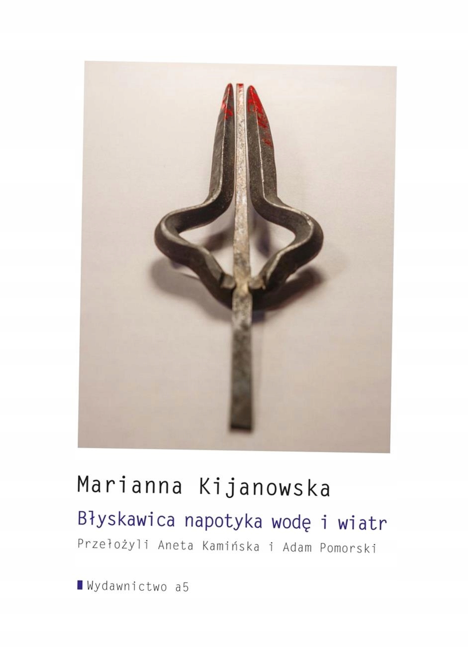 BŁYSKAWICA NAPOTYKA WODĘ I WIATR MARIANNA KIJANOWSKA