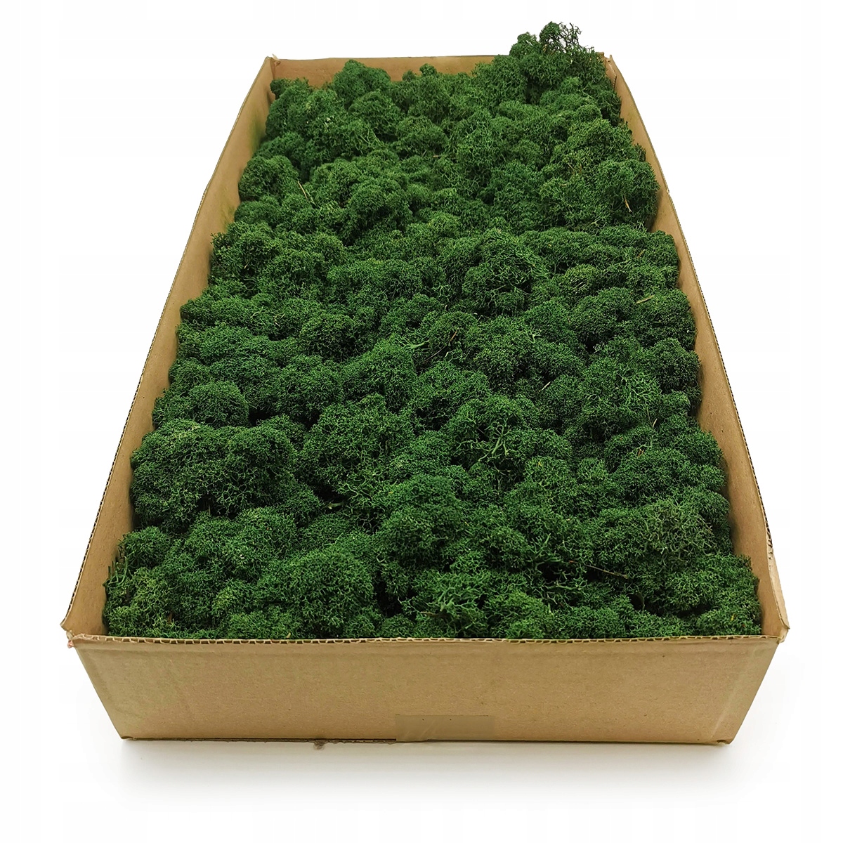 

Mech chrobotek fiński 500g netto