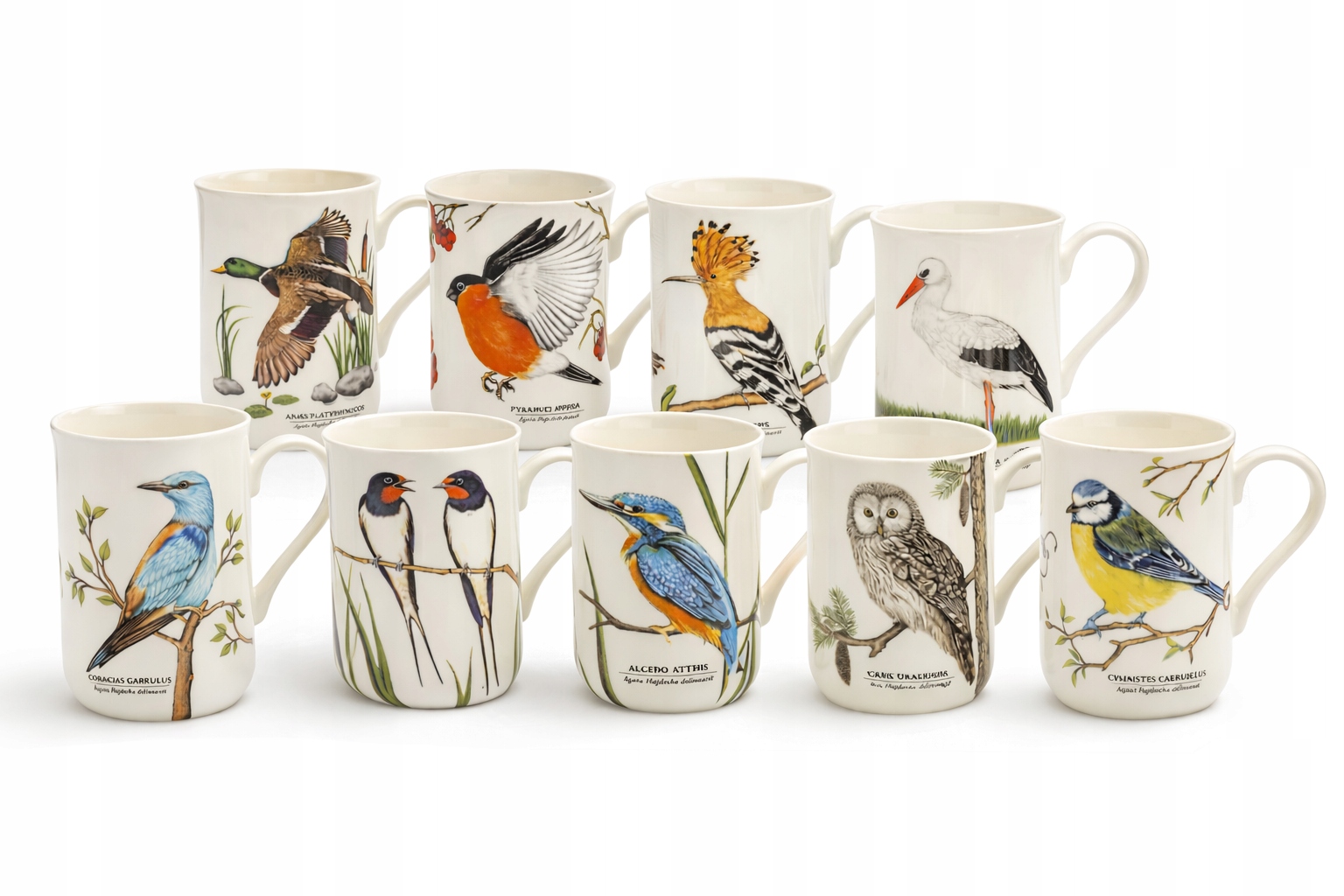 10 x Porcelánový hrnček s motívom „Vtáky Poľský“ 300 ml hrnčeky sada