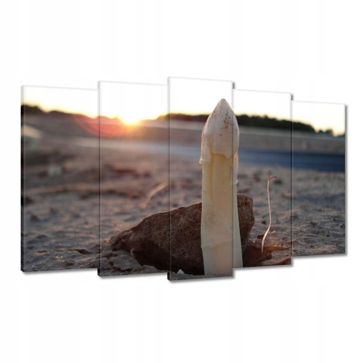 Obrazy 100x60 První chřest