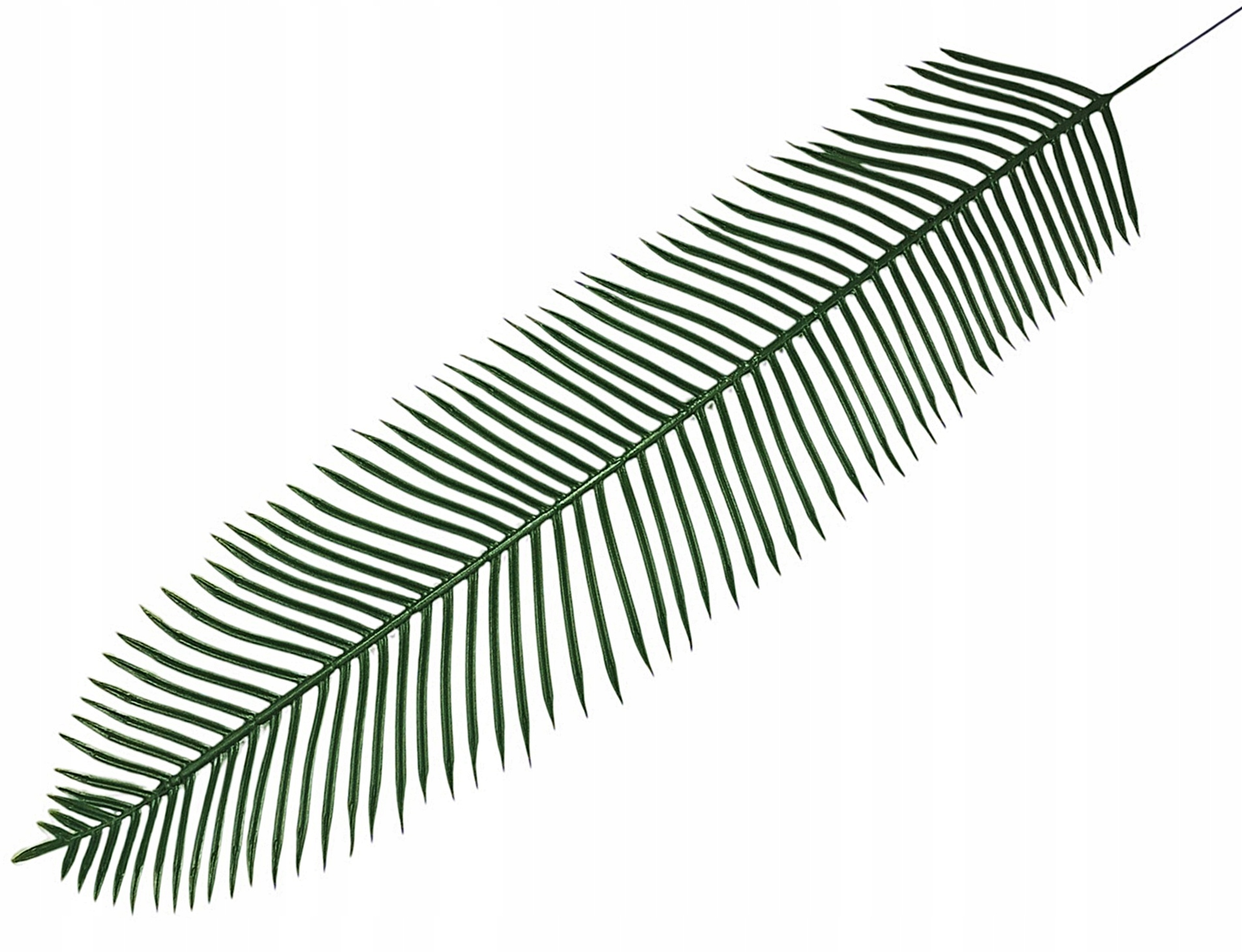 LIŚĆ PALMA D03 KWIATY SZTUCZNE LIŚCIE dodatek