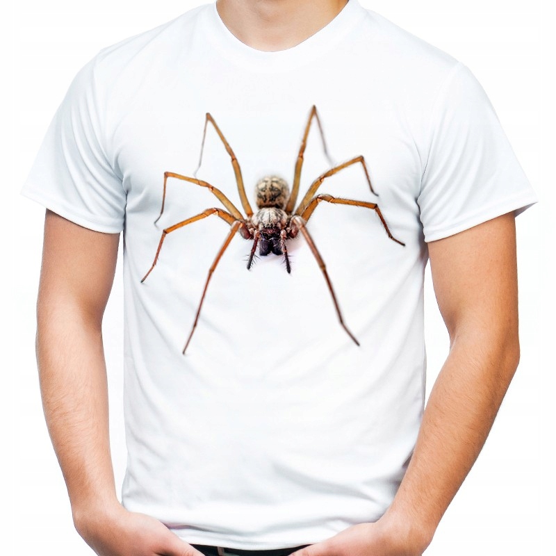 

Koszulka z pająkiem domowym t-shirt pająk spider M