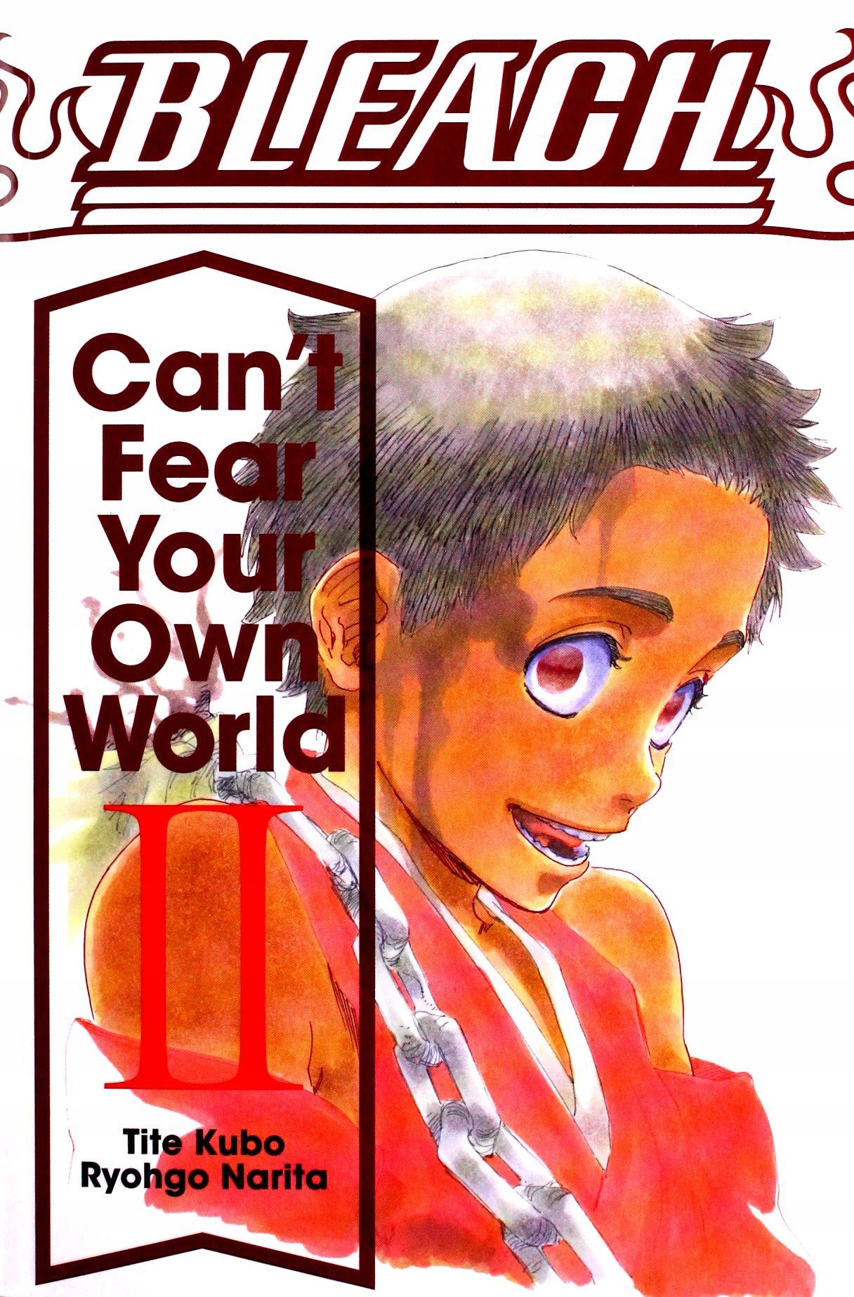 

Bleach: Can't Fear Your Own World 2: Volume 2 Ry