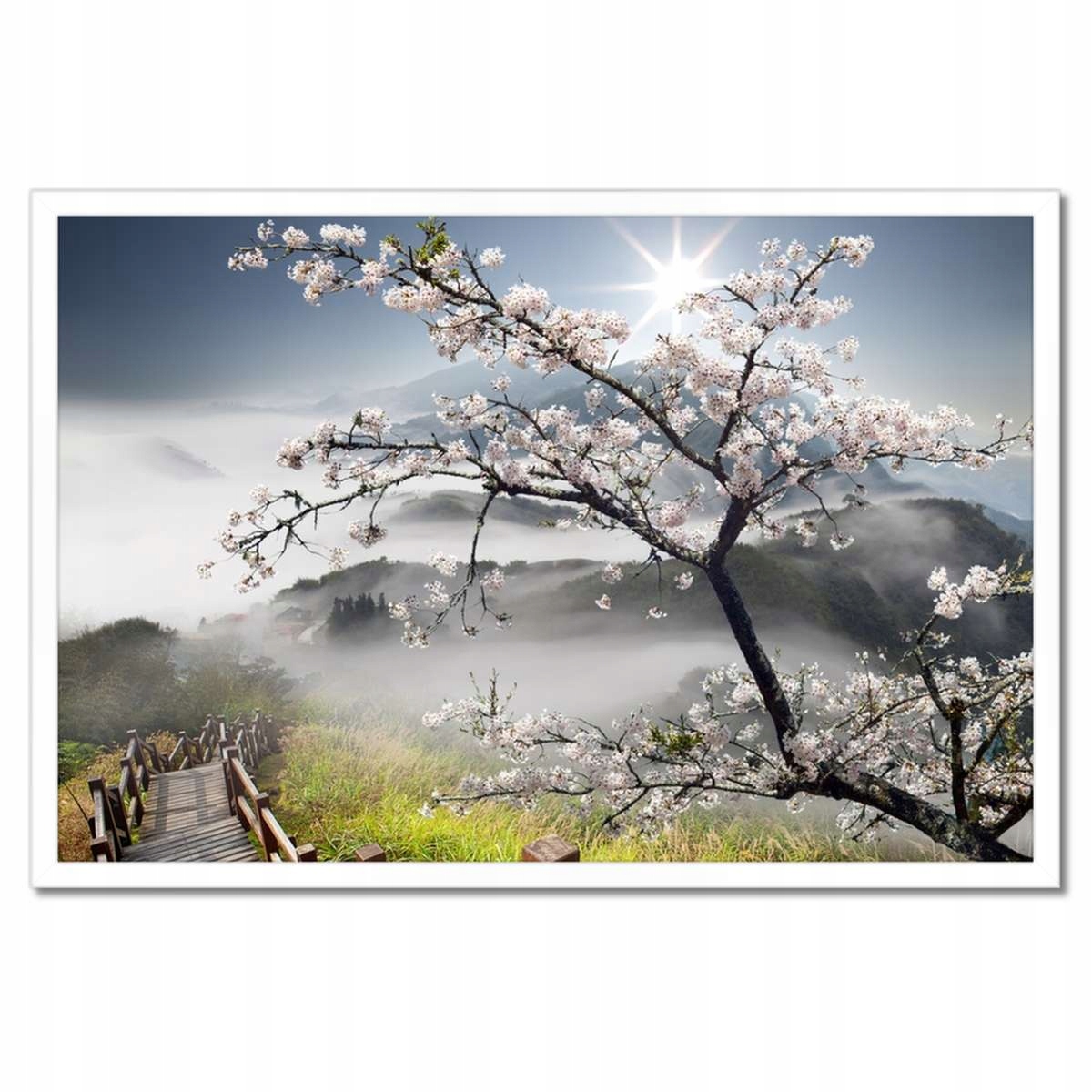 Plakáty v rámu 60x40 Japonsko Kvetoucí višeň