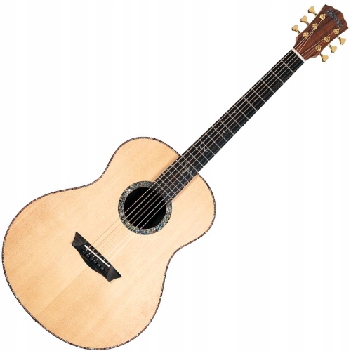 Washburn Bts 24 S (n) akustická kytara