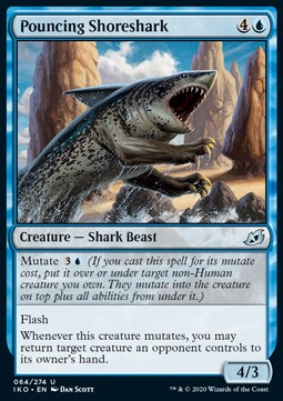 

2x Pouncing Shoreshark Iko Gratisy Pjotrekkk