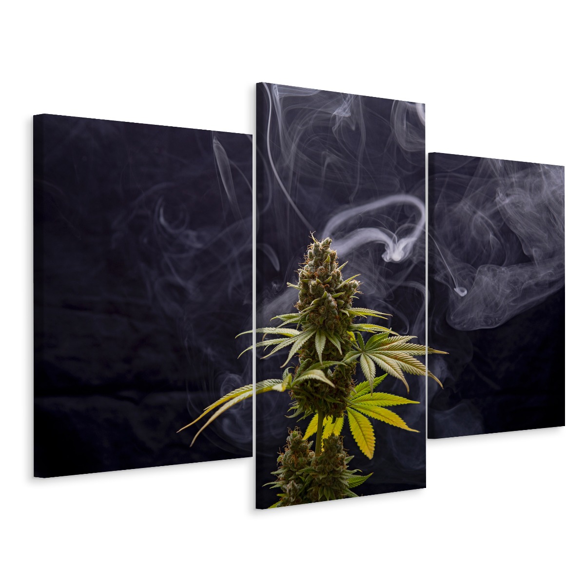 

Obraz Tryptyk Liście Konopi Cbd Natura 3D 150x100